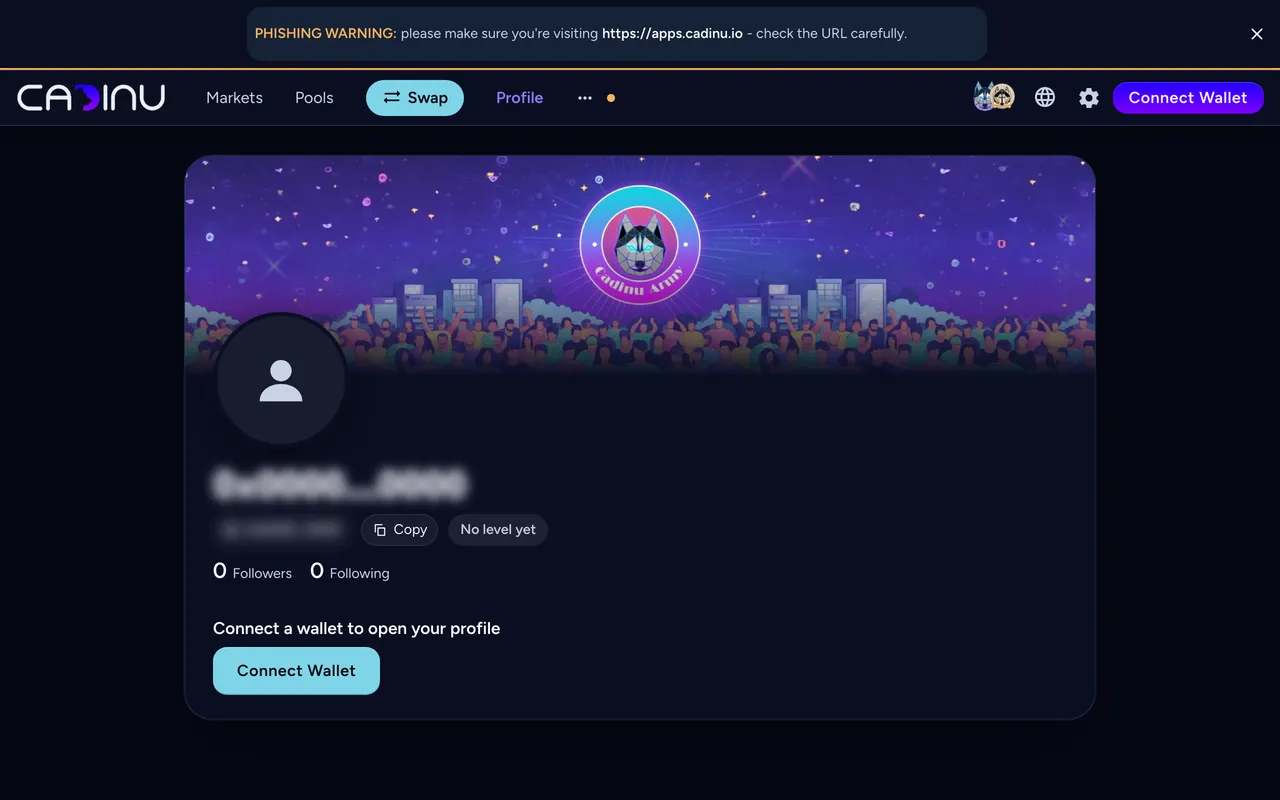 The profile page before a wallet is connected: Connect a wallet to open your profile